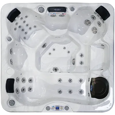 Avalon EC-849L hot tubs for sale in Arvada